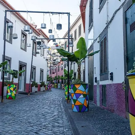 Belafonte Camara de Lobos